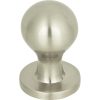 Brushed Nickel