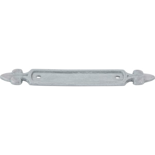 Dover Backplate 2 1/2 Inch Pewter Light