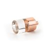 Polished Rose Gold