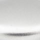 Brushed Chrome