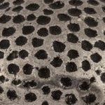 Cast Iron