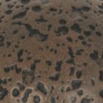 Rust